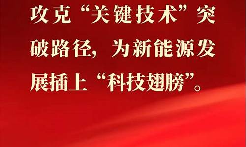 2021年两会新能源政策_2011两会新能源